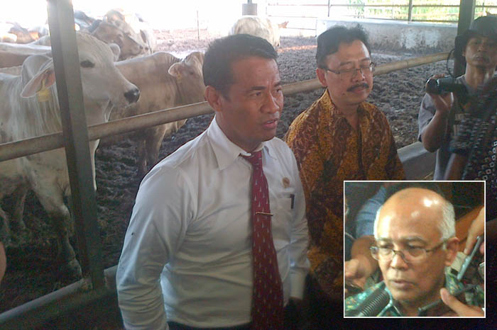 Mentan: Harga Daging Sapi Bobot Hidup Rp38.000/Kg 